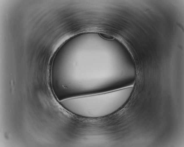 X0000101671147200807101043