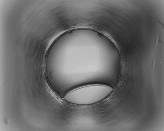 X0000101671148200807101043