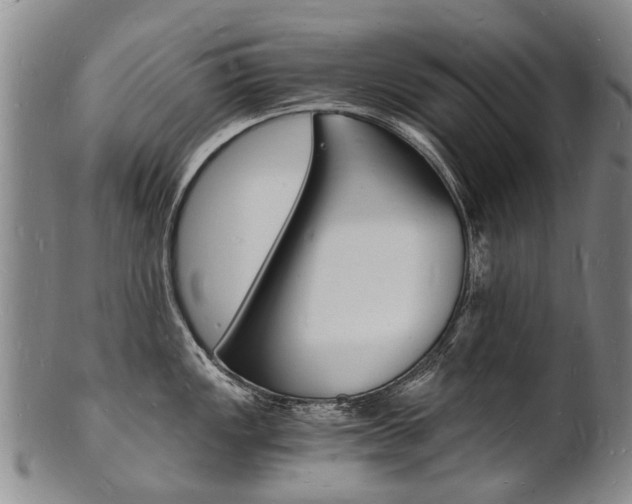 X0000101671149200807101043