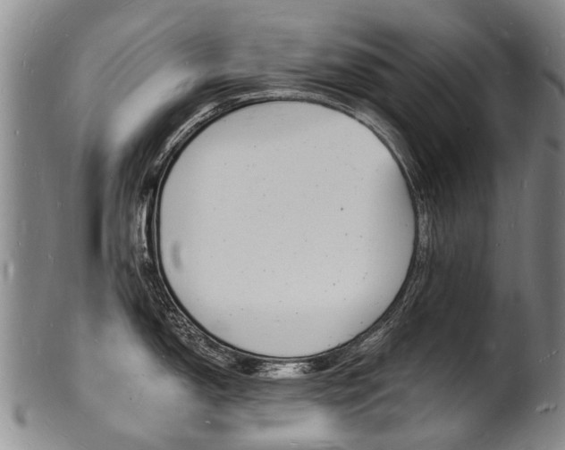 X0000101671150200807101043