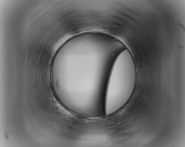 X0000101671151200807101043