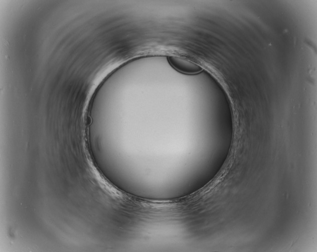 X0000101671152200807101043