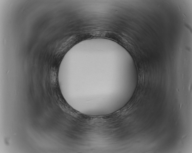 X0000101671154200807101042