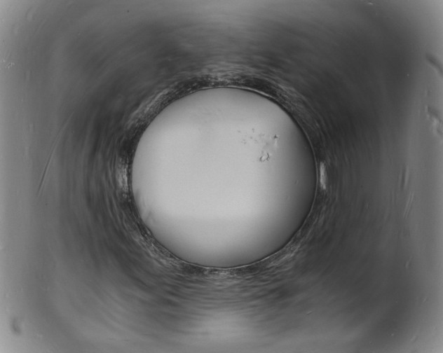 X0000101671155200807101042