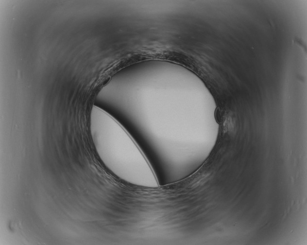 X0000101671156200807101042