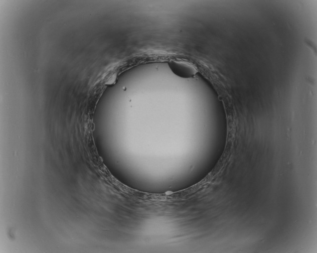 X0000101671157200807101042