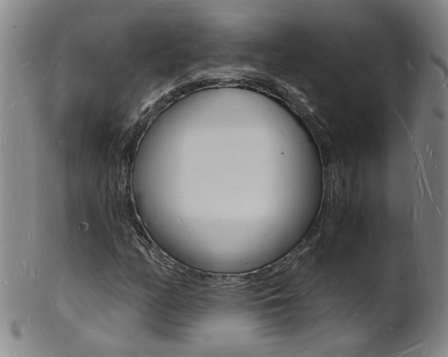 X0000101671158200807101042