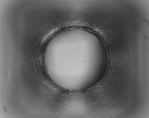 X0000101671159200807101042