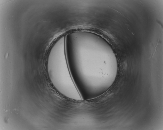 X0000101671160200807101042