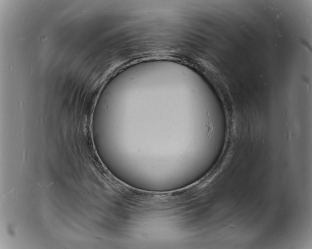 X0000101671161200807101042