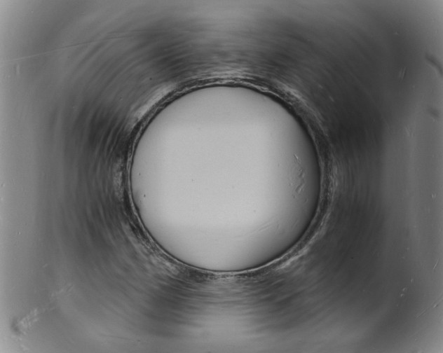 X0000101671162200807101042