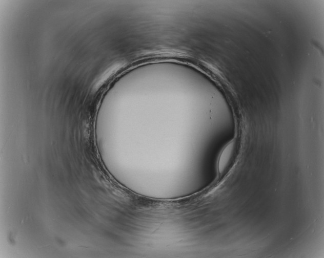 X0000101671163200807101042