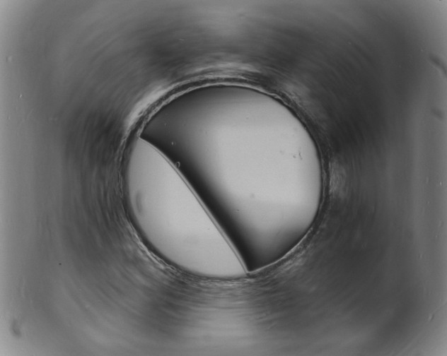 X0000101671164200807101042