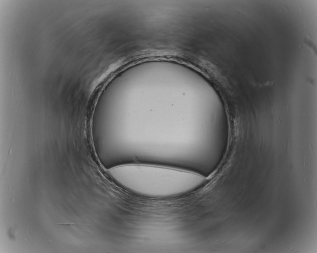 X0000101671165200807101042