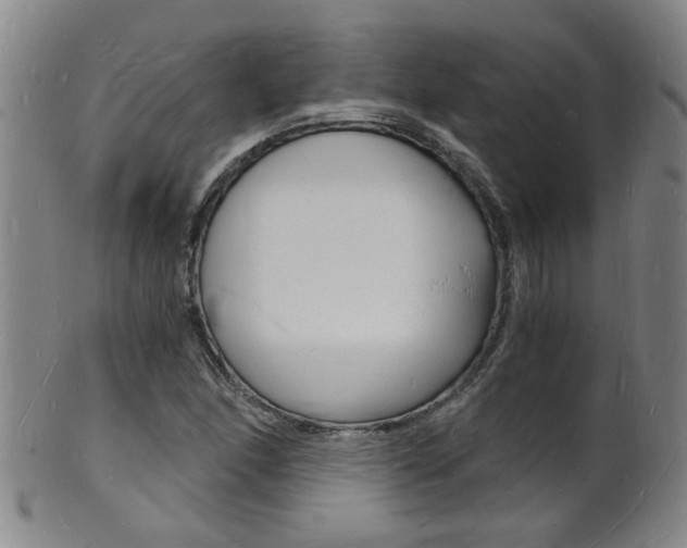 X0000101671166200807101042