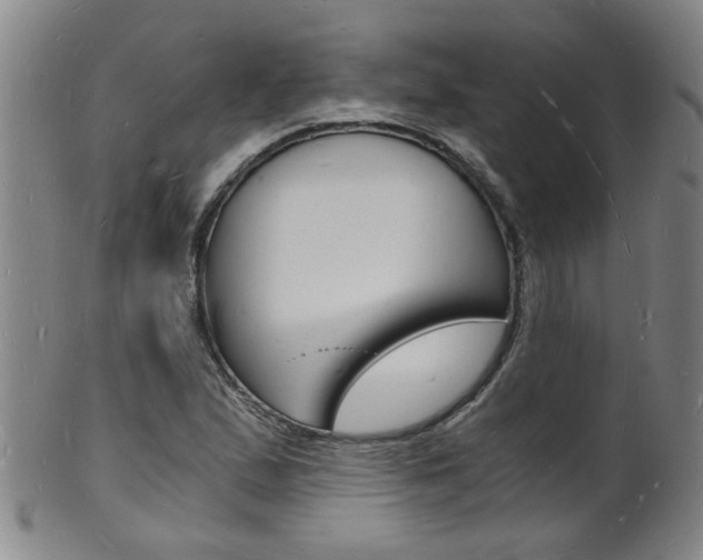X0000101671167200807101042