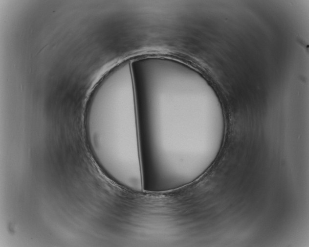 X0000101671168200807101042