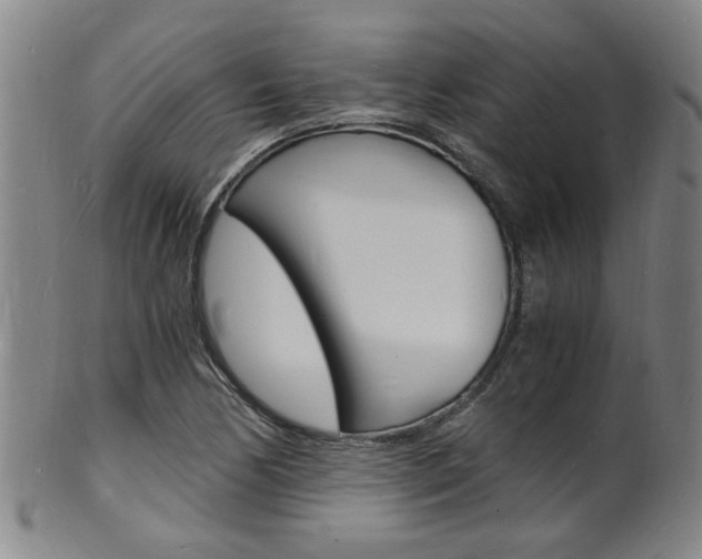 X0000101671170200807101042