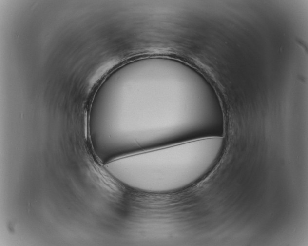 X0000101671171200807101042