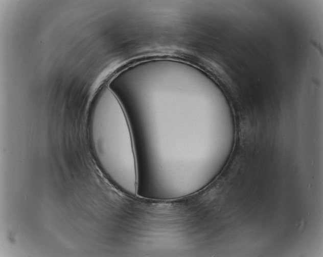 X0000101671172200807101042