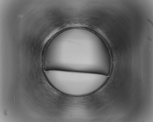X0000101671173200807101042