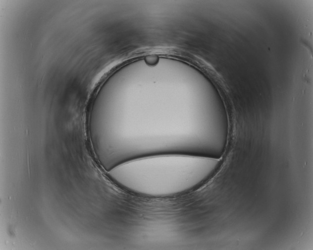 X0000101671174200807101042