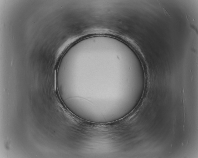 X0000101671175200807101042