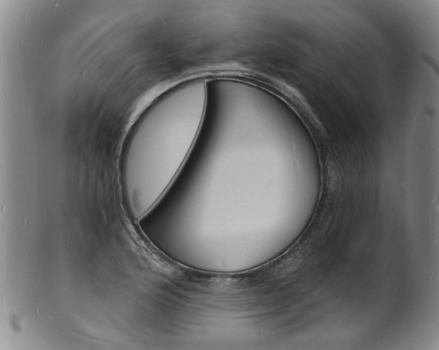 X0000101671176200807101042