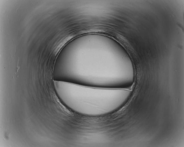 X0000101671177200807101042