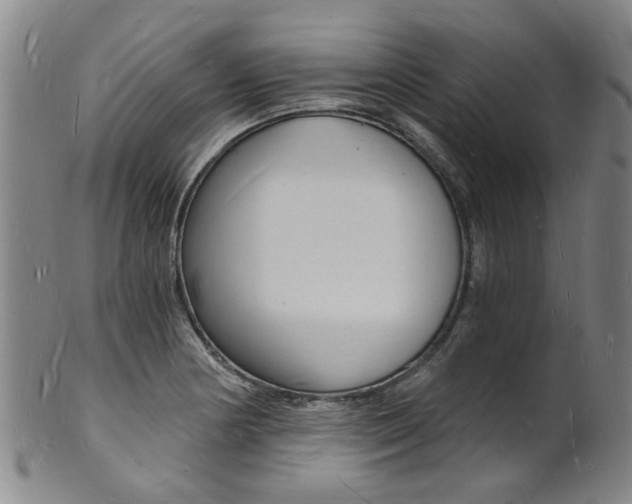 X0000101671178200807101042