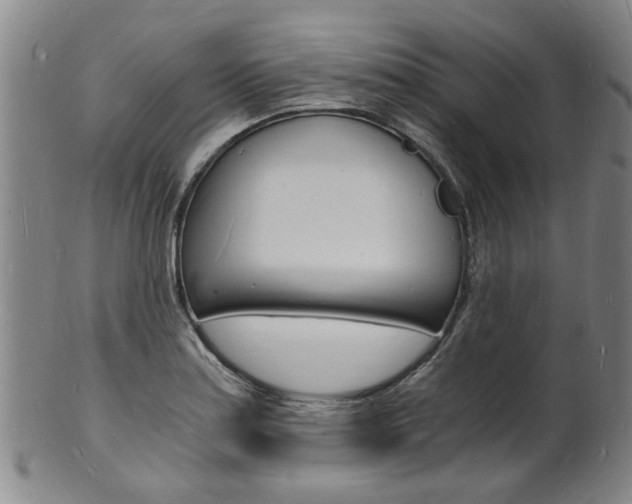 X0000101671179200807101042