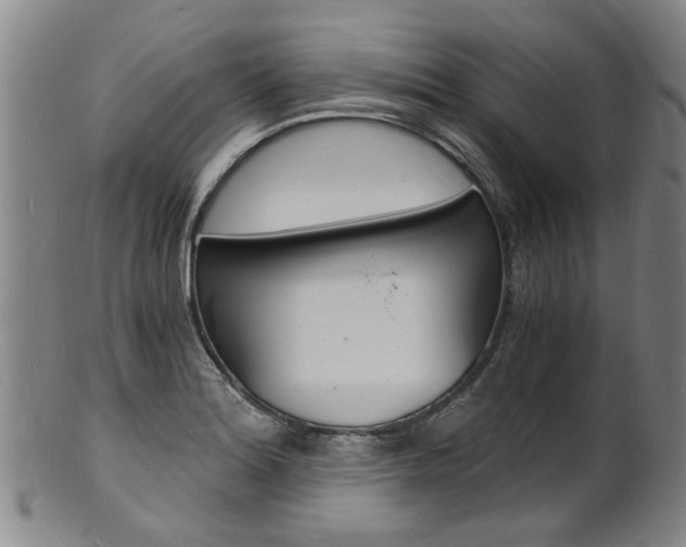 X0000101671180200807101042