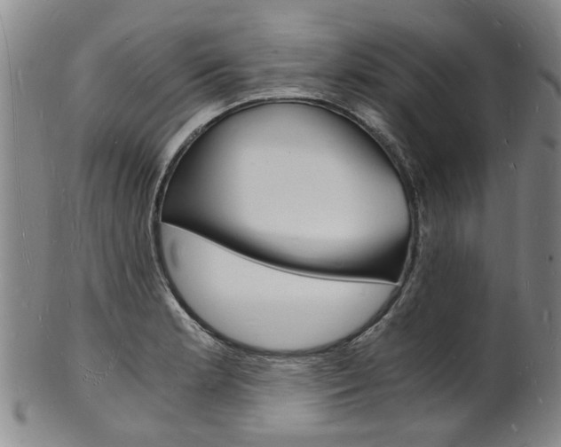 X0000101671181200807101042