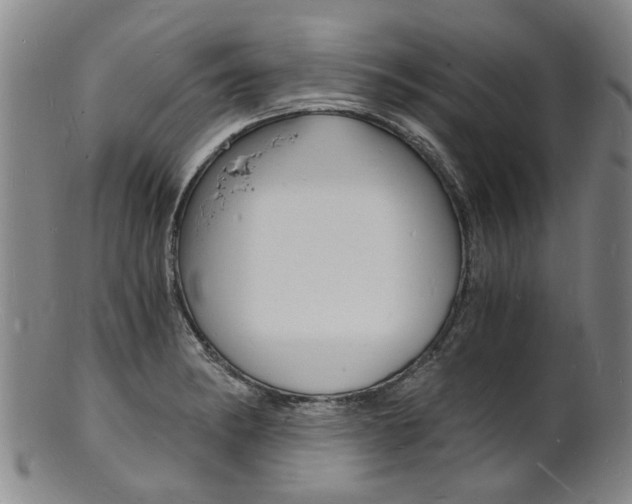 X0000101671182200807101042
