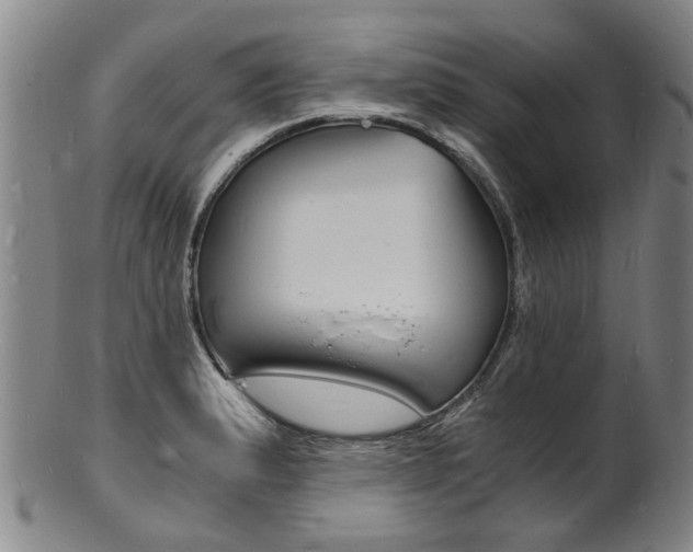X0000101671183200807101042