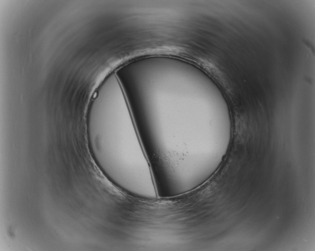 X0000101671184200807101042