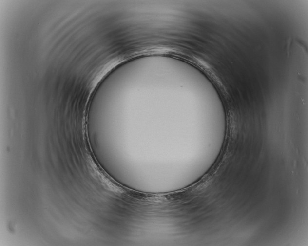 X0000101671186200807101042