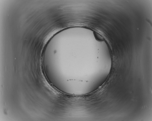 X0000101671187200807101042