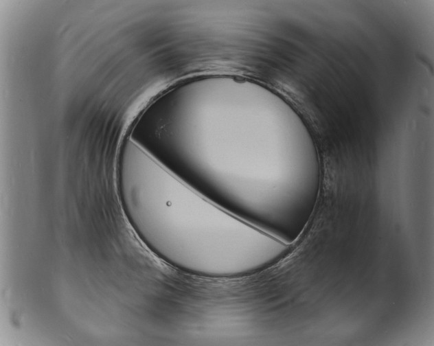 X0000101671188200807101042