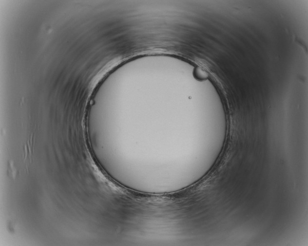X0000101671189200807101042