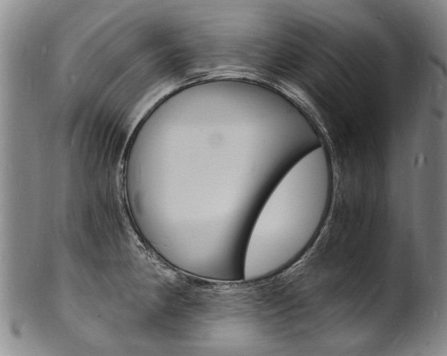 X0000101671190200807101042