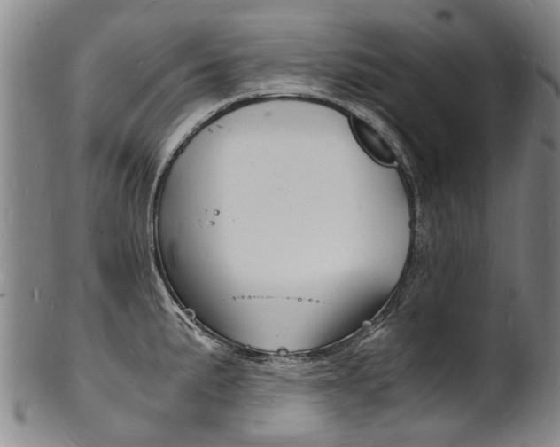 X0000101671191200807101042