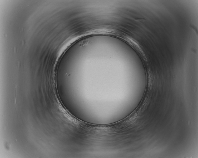 X0000101671192200807101042