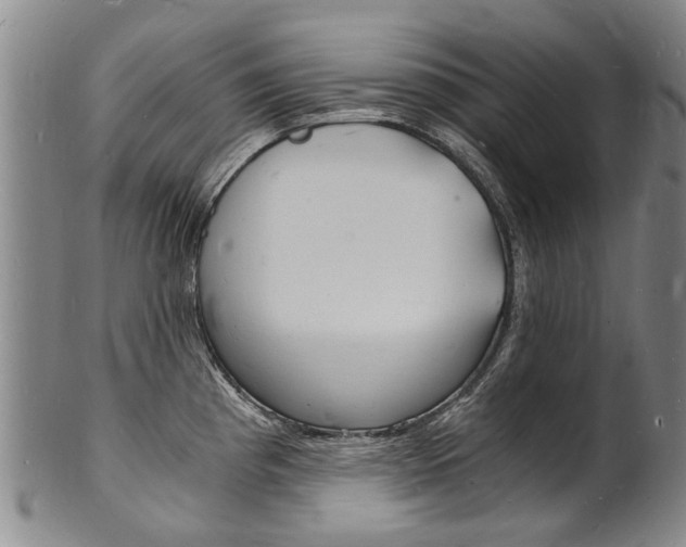 X0000101671193200807101042