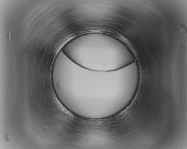 X0000101671194200807101042