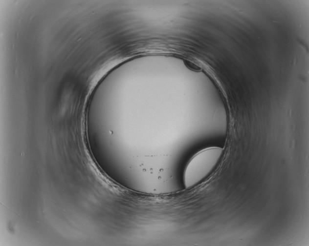 X0000101671195200807101042