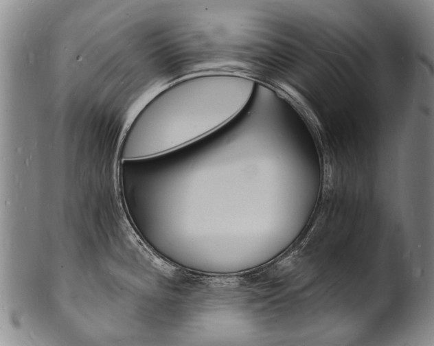 X0000101671196200807101042