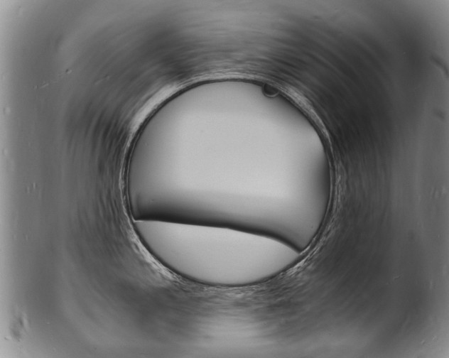 X0000101671197200807101042