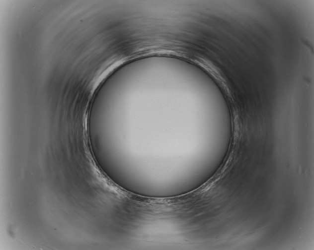 X0000101671198200807101042