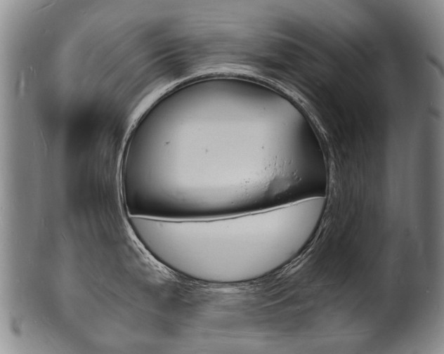 X0000101671199200807101042